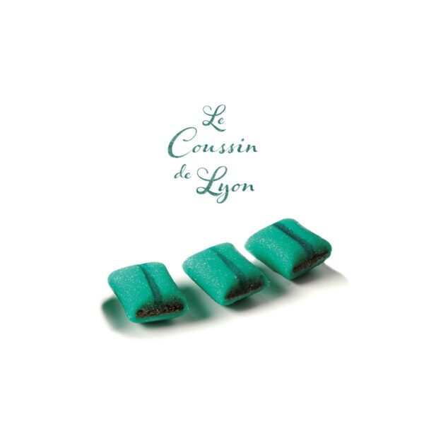 Ballotin Coussin de LYON – Image 2