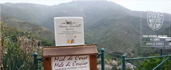 Miel AOP de Corse- Maria Catalina du Maquis