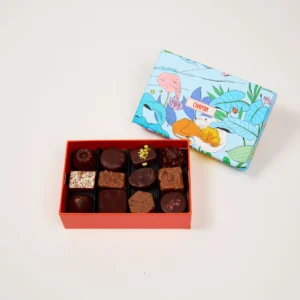 Coffret 24 chocolats  merveilleuse Epopée 2025