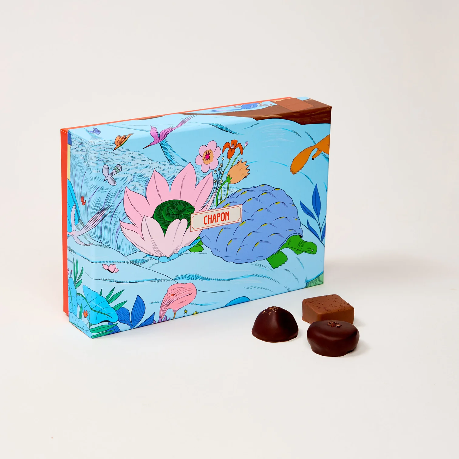 Coffret 40 chocolats merveilleuse Epopée 2025 Chapon