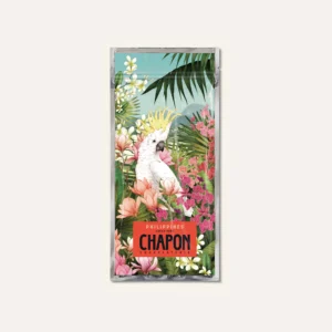 Chocolaterie Chapon - Tablette Noir Philippines