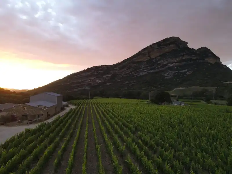 Patrimonio - Aldida Blanc - Domaine Paradella – Image 2